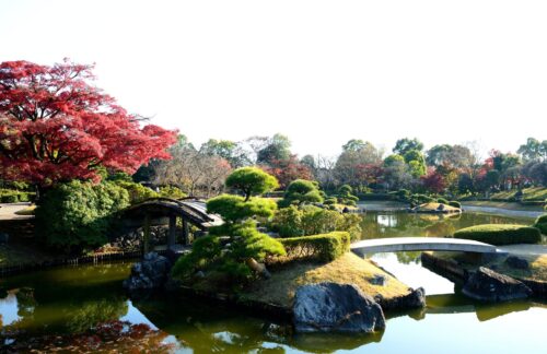 埼玉 風景写真の練習なら 日本庭園 花田苑 がおすすめな理由 趣味がある暮らし